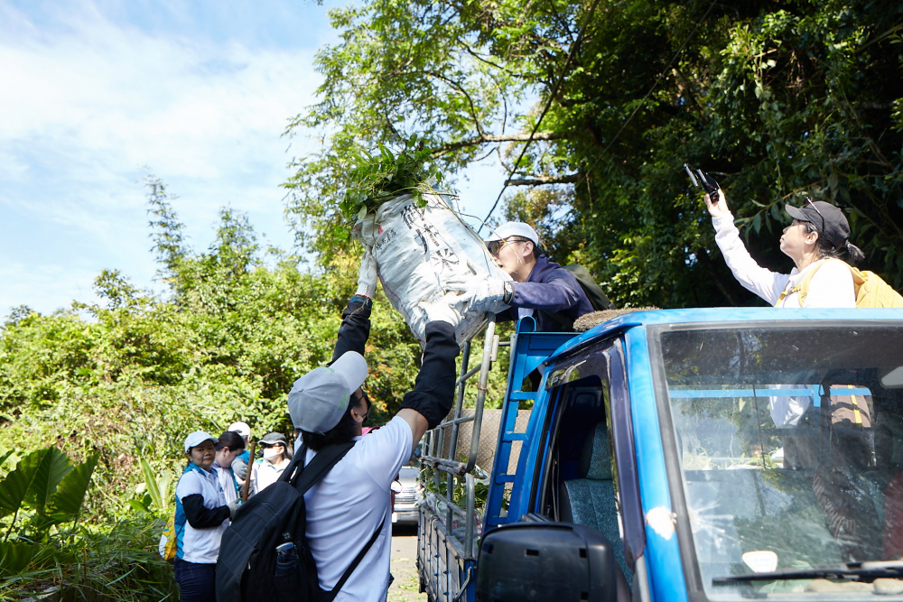 友達串聯志工組成水環境巡守隊，針對霄裡溪沿岸3公里的小花蔓澤蘭，定期進行移除與防治工作